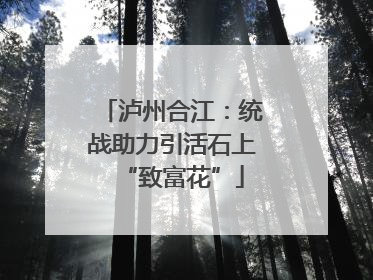 泸州合江：统战助力引活石上“致富花”